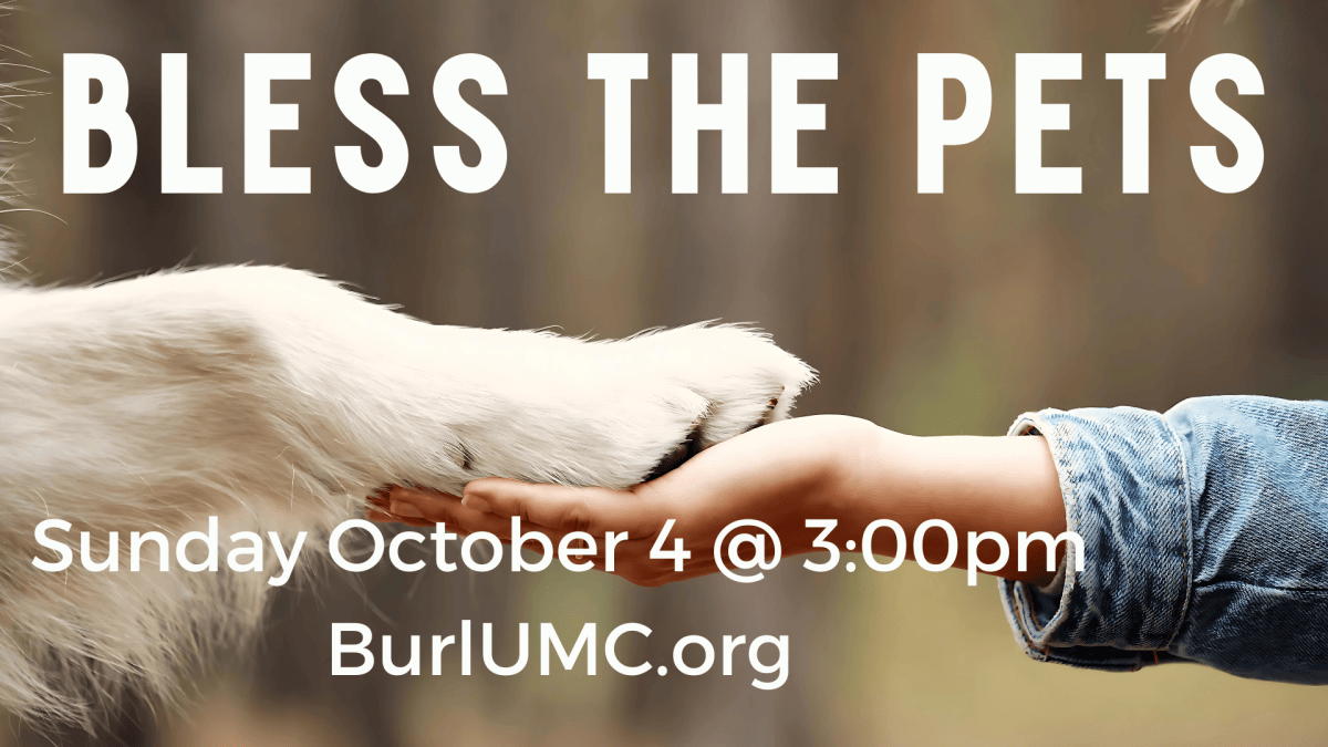Blessing of the&nbsp;Animals